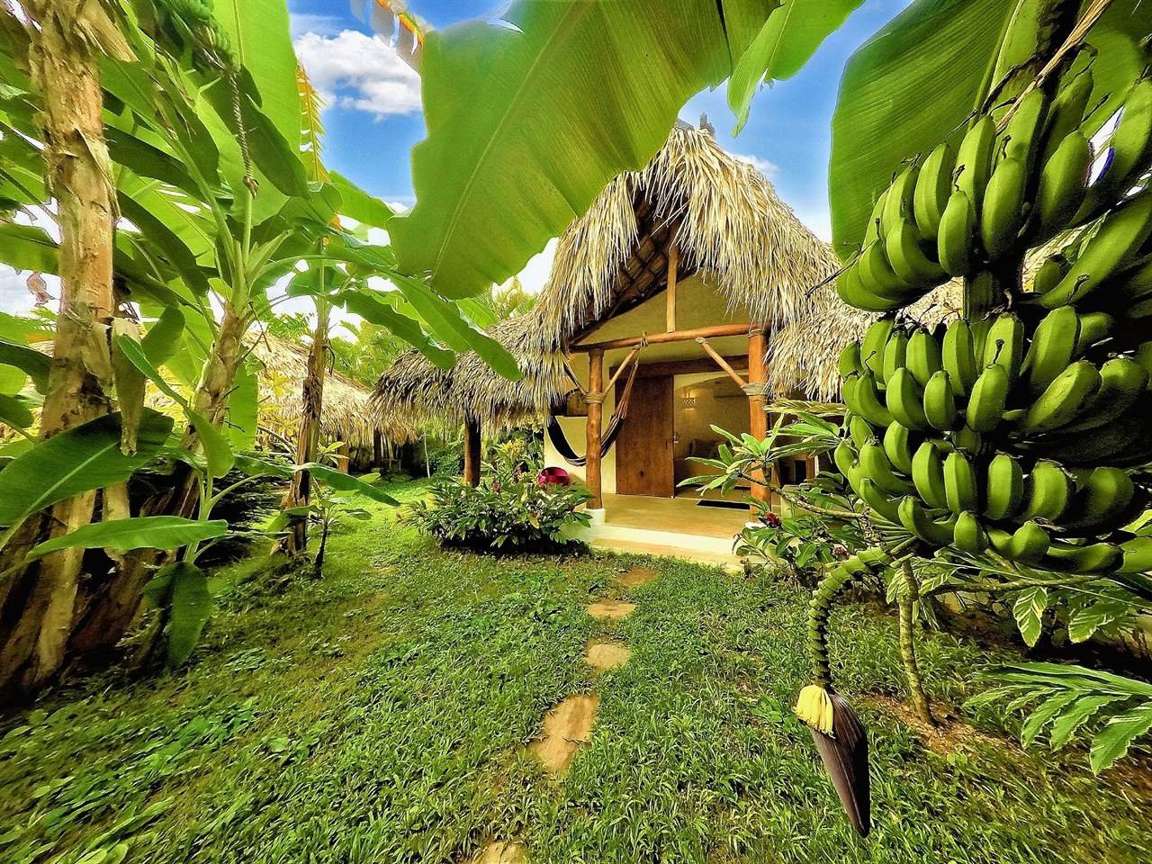 Casa Picaflor: thatched bungalow with a wooden door, framed by banana plants