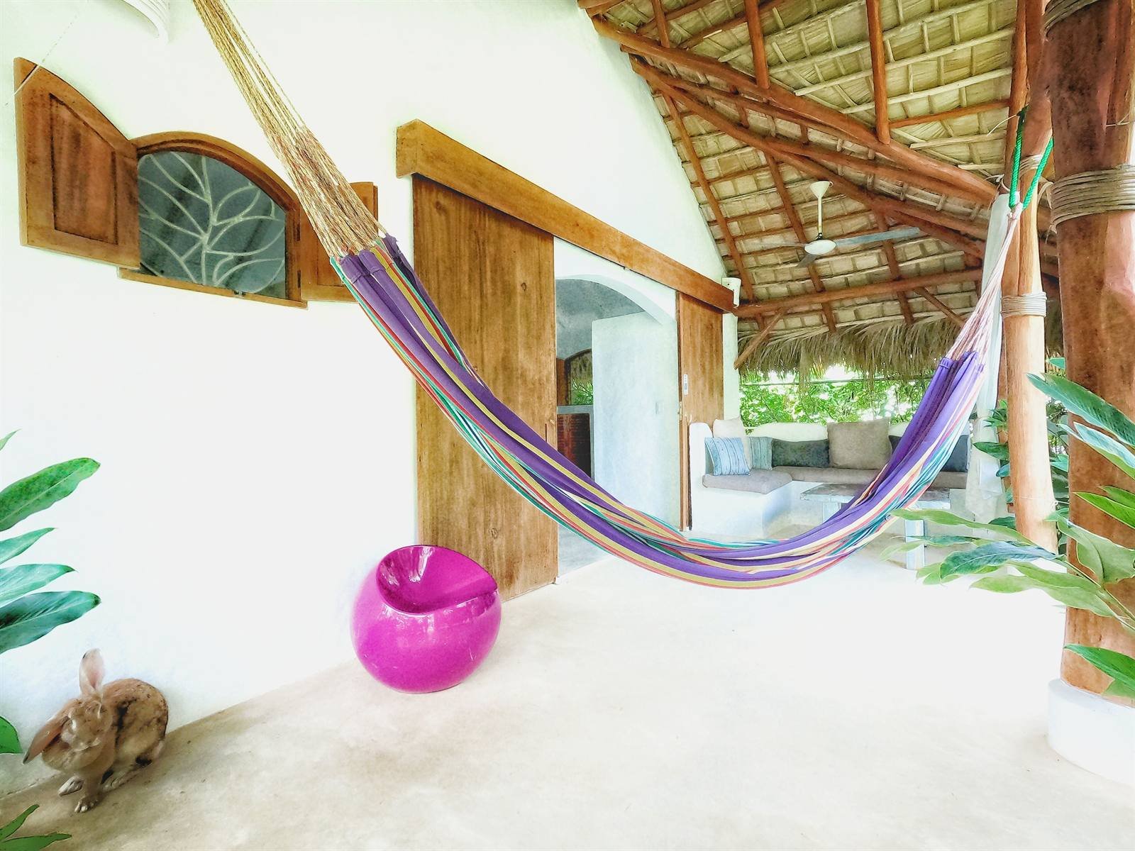 Casa Picaflor: hammock under wooden beams and a thatched roof